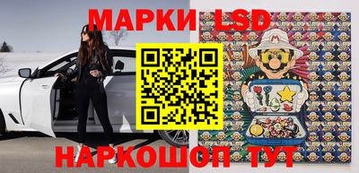 сатива Брянск